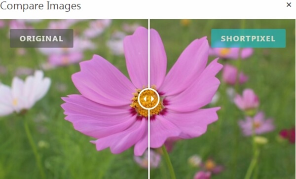 ShortPixel Image Optimizer 
